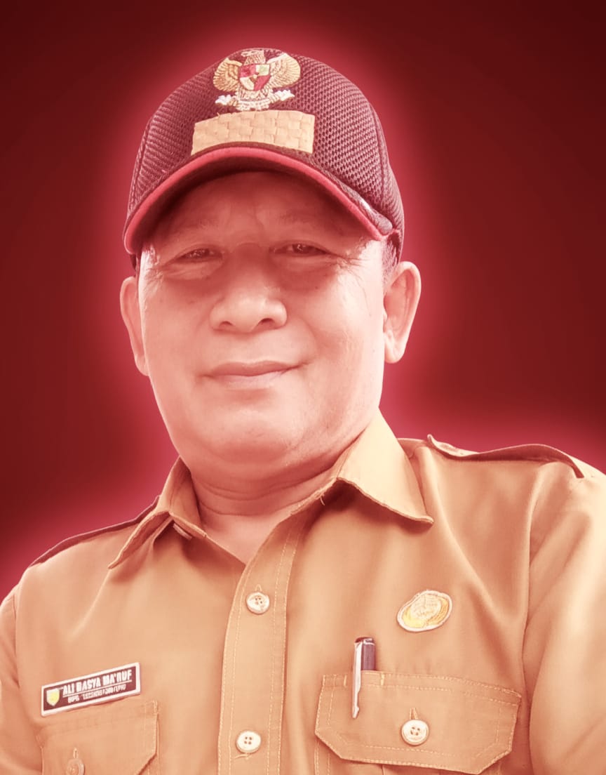 Ali Basya Ma'ruf